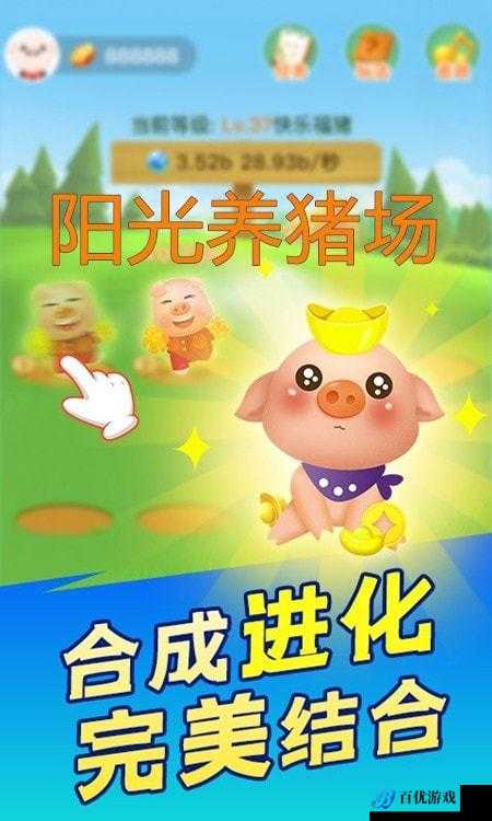 阳光养猪场安装及配置指南:提升养殖效率的关键步骤