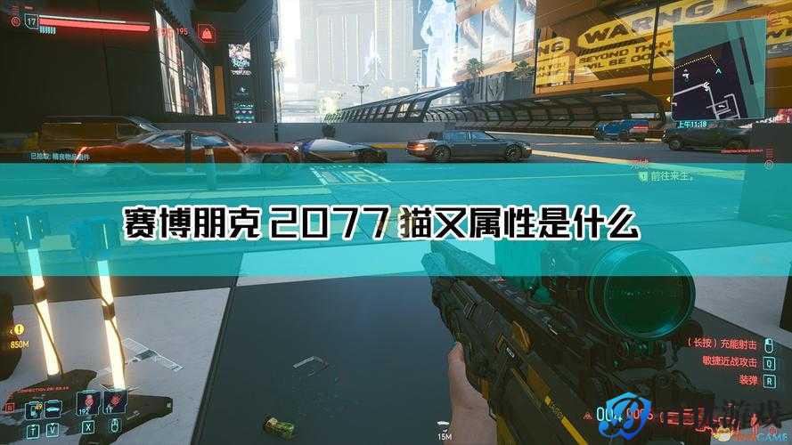 《赛博朋克 2077 不朽猫又在哪?深入探究游戏中的神秘地点》