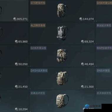 荒野行动电脑版:背包打开攻略大揭秘