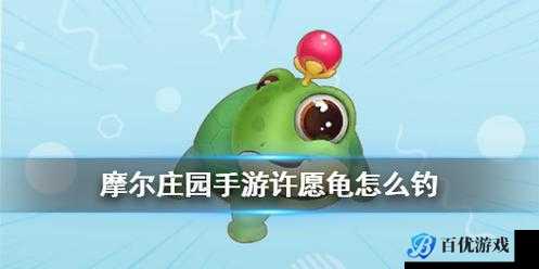摩尔庄园手游许愿龟在哪里?刷新位置全一览